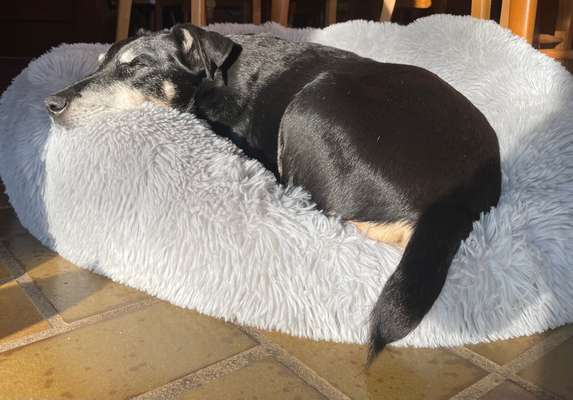 Fotowettbewerb zum Thema "Sonne"-Beitrag-Bild