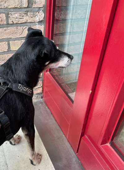 Dogorama Foto Challenge - Wanderziel-Beitrag-Bild