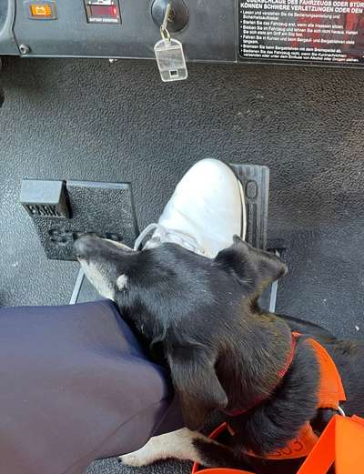 117. Fotochallenge-Beitrag-Bild