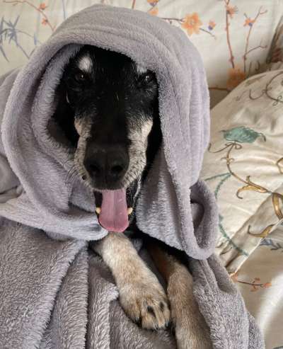 13. Farben-Fotochallenge "Grau"-Beitrag-Bild