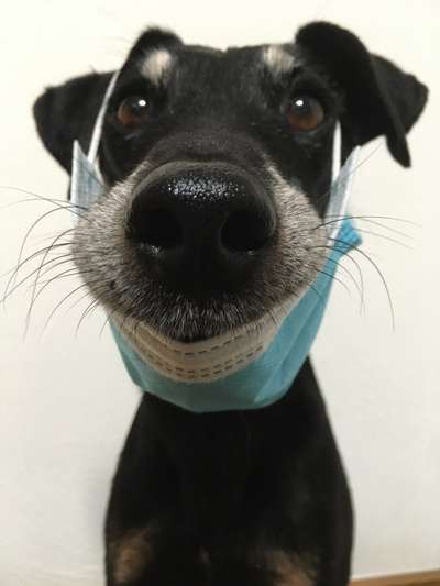 Lieblingsbild-Beitrag-Bild