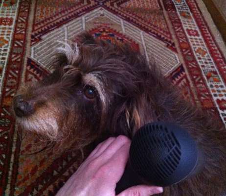 Fotochallenge 128-Beitrag-Bild