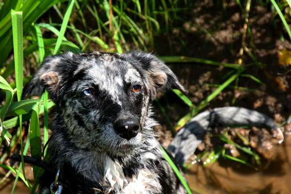 Lieblingsbild-Beitrag-Bild