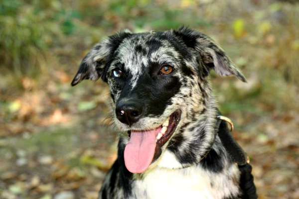 Doppelgänger gesucht !-Beitrag-Bild