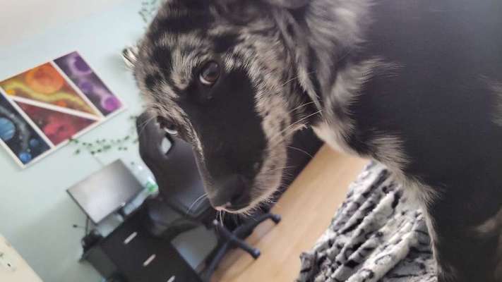 Fotochallange 84-Beitrag-Bild