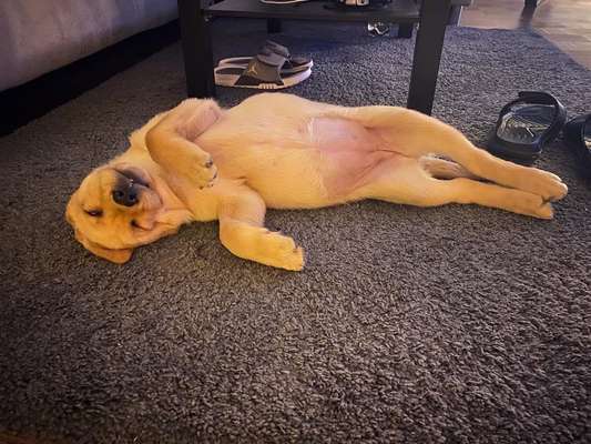 Fotochallenge Nr.65-Beitrag-Bild