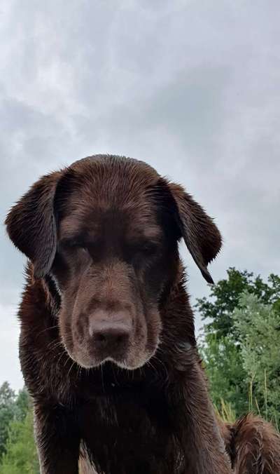 Fotochallange Nr. 57     PORTRÄT.   Beendet!!!!!!!!-Beitrag-Bild