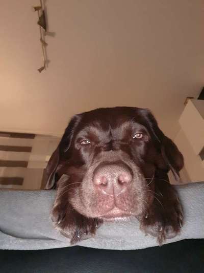 Fotochallange Nr. 57     PORTRÄT.   Beendet!!!!!!!!-Beitrag-Bild