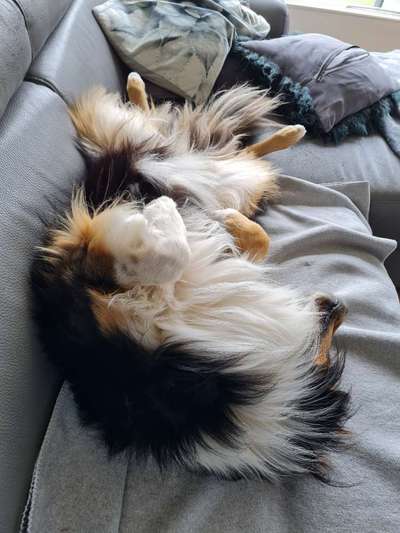 FOTO-Challenge  NR. 91: Die pure Entspannung-Beitrag-Bild