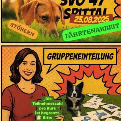 Hundeschulen-Svö 47 Spittal Hundeschule-Bild