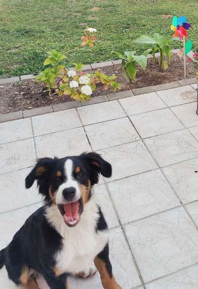 Handy-foto Challange nr. 11-Beitrag-Bild