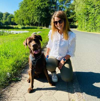 Hundetreffen-Spiele Treff-Profilbild