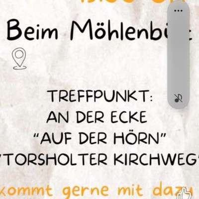 Hundetreffen-Heute hundetreffen-Bild