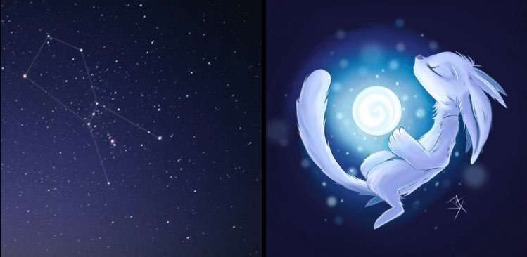 Wie heißt dein Hund?-Beitrag-Bild