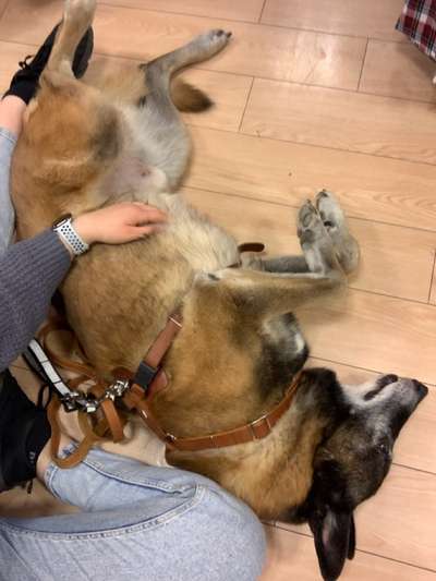 Was hat euch heute gefreut?-Beitrag-Bild