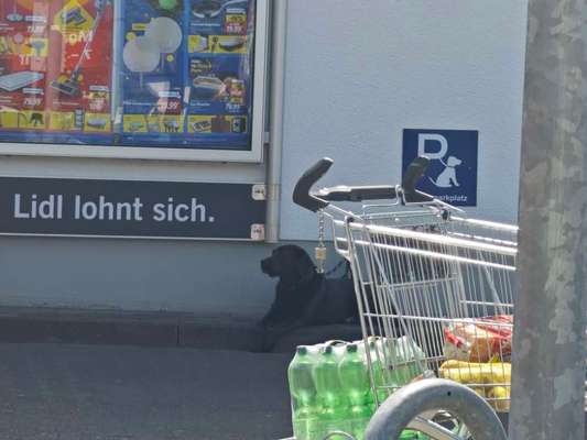 Was hat euch heute genervt?-Beitrag-Bild