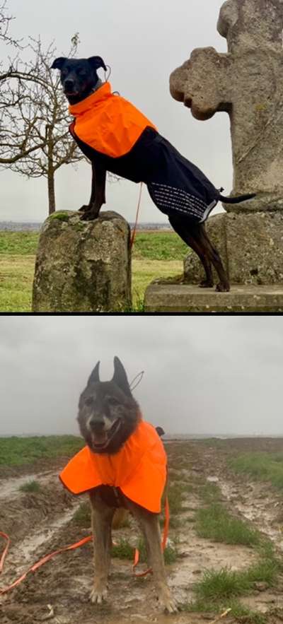 Was hat euch heute gefreut?-Beitrag-Bild