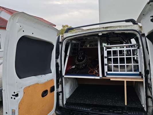 Welches Auto mit welchem Hund-Beitrag-Bild