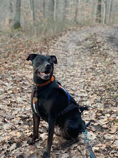 Was hat euch heute gefreut?-Beitrag-Bild