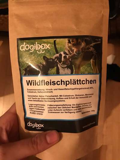 Dogibox-Beitrag-Bild