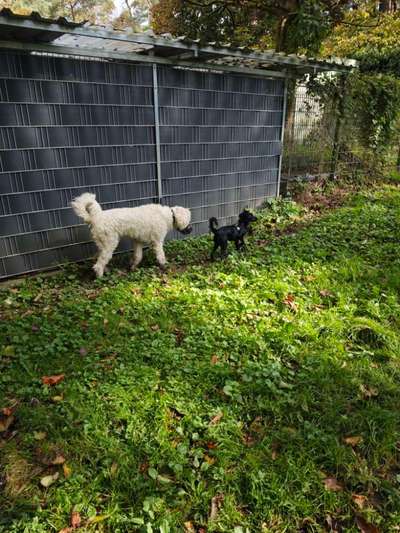 Was hat euch heute gefreut?-Beitrag-Bild