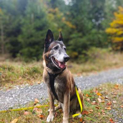 Unterzucker auf Gassirunde-Beitrag-Bild