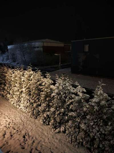 Was hat euch heute gefreut?-Beitrag-Bild