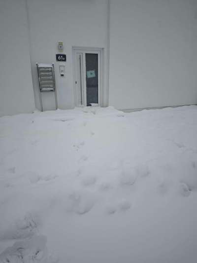 Was hat euch heute genervt?-Beitrag-Bild