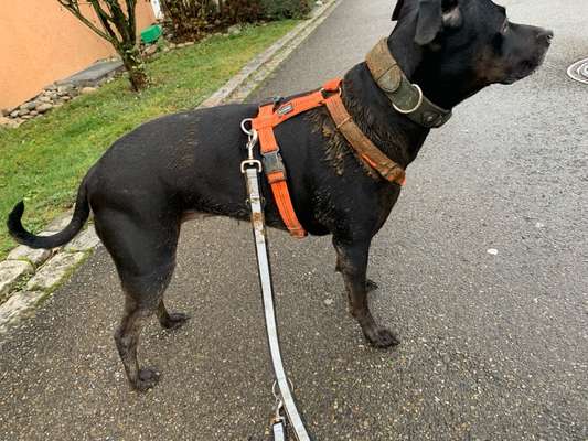 Was hat euch heute genervt?-Beitrag-Bild