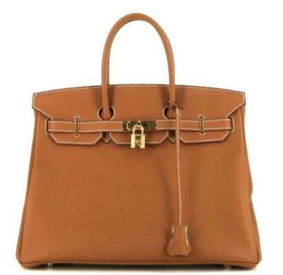 Wie heißt dein Hund?-Beitrag-Bild