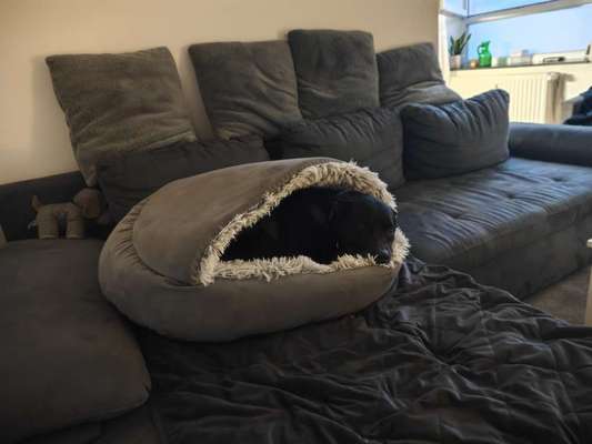 Was hat euch heute gefreut?-Beitrag-Bild