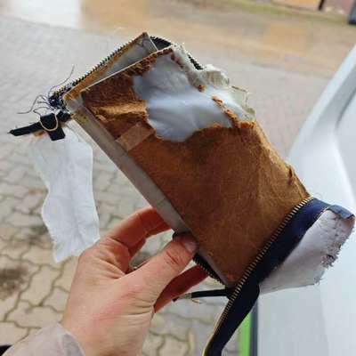 Was hat euch heute genervt?-Beitrag-Bild