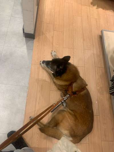 Was hat euch heute gefreut?-Beitrag-Bild