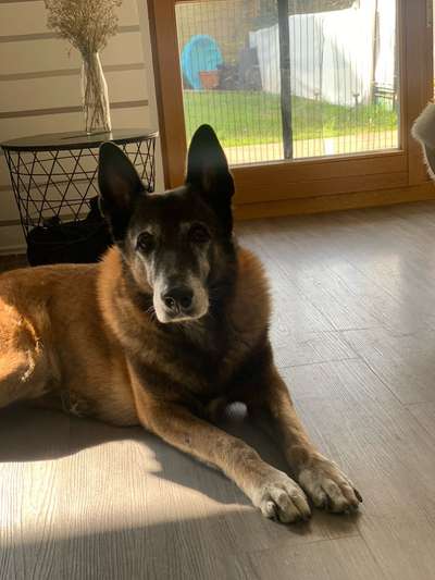 Senioren-Beitrag-Bild