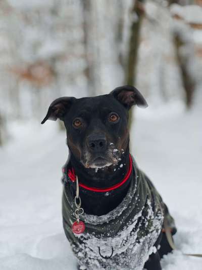 Verkürzter Läufigkeitsintervall-Beitrag-Bild