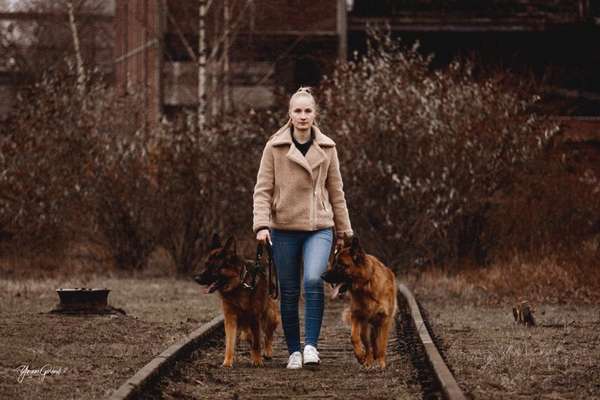Hundetreffen-Ruhige Spaziergänge ohne Hundekontakt / Wandern-Bild