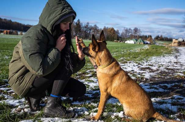 Hundetreffen-Hundetreffen in Herrnhut/Löbau und Umgebung!-Bild