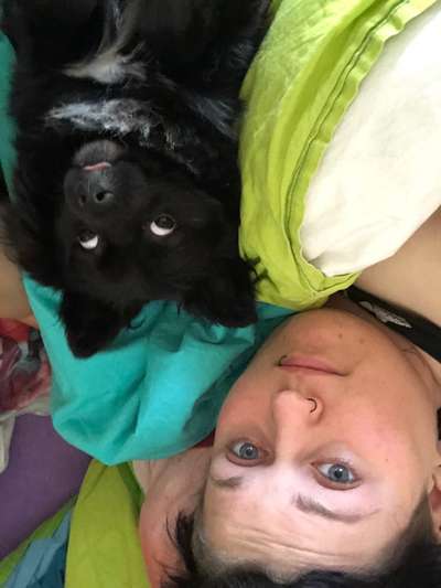 Lustige Bilder-Beitrag-Bild