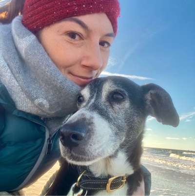 Hundetreffen-Gassi-Partner gesucht 🐶