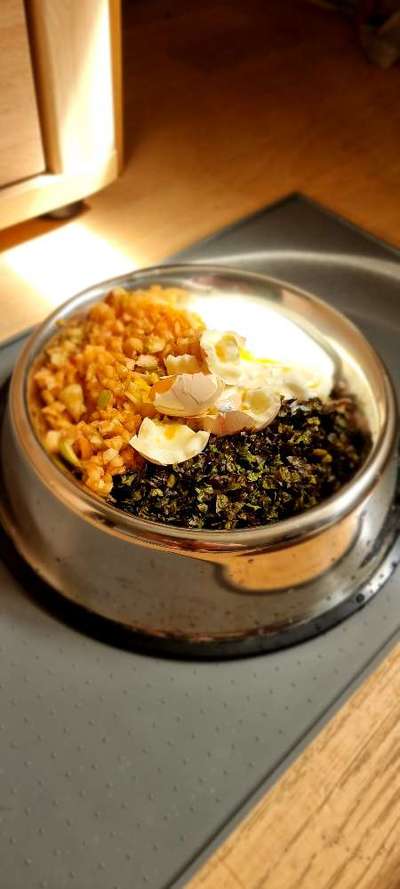 Zeigt her Eure Futternäpfe-Beitrag-Bild