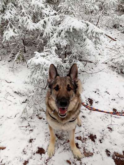 Handy-Foto Challange Nr. 10-Beitrag-Bild