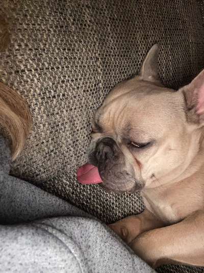 Fotochallange Nr. 6 Die irrsten Blicke-Beitrag-Bild