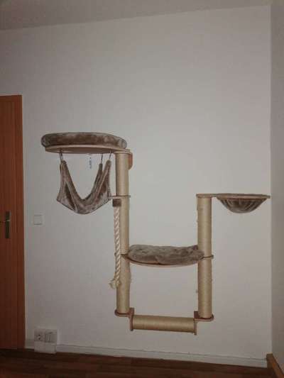 Katze und Hund-Beitrag-Bild