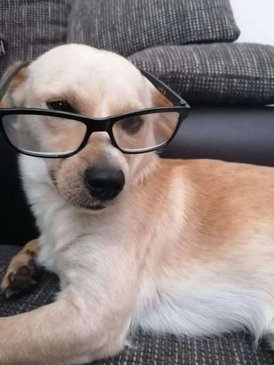 LUSTIGE FOTOS! WER KANN MITHALTEN?-Beitrag-Bild