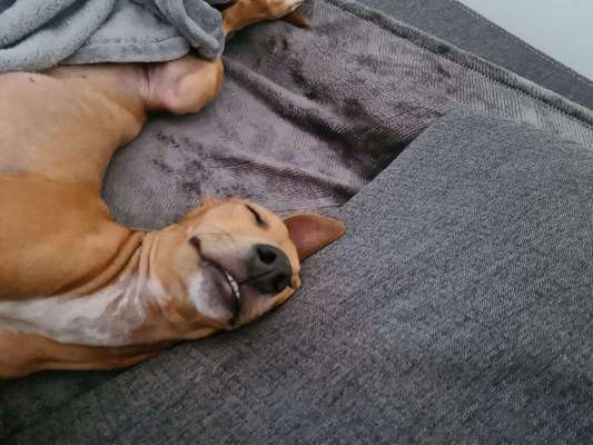 Die unbequemsten und lustigsten Schlafpositionen-Beitrag-Bild