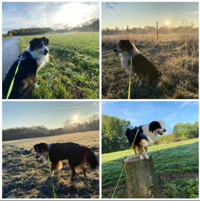 14. Collagen Challenge- Sonnenaufgang & -Untergang-Beitrag-Bild