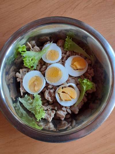 Zeigt her Eure Futternäpfe-Beitrag-Bild