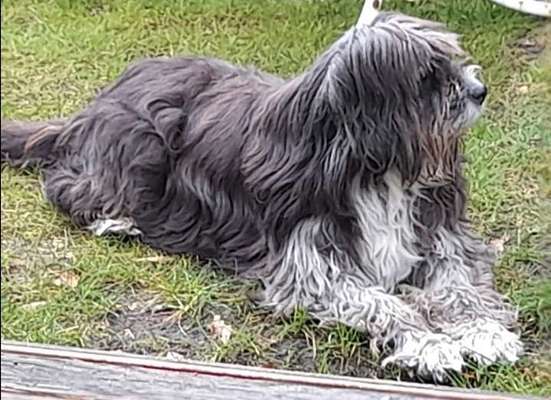 Gibts hier Mioritic Besitzer?-Beitrag-Bild