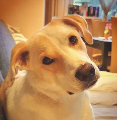 Fotochallange Nr. 57     PORTRÄT.   Beendet!!!!!!!!-Beitrag-Bild