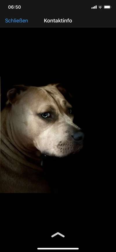 Wesenstest Baden Württemberg LK Lörrach-Beitrag-Bild